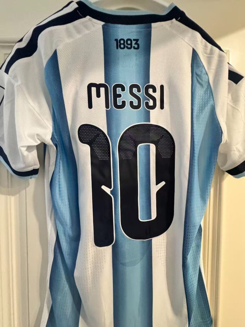 2026 World Cup Argentina No 10 Soccer Jersey M - Picture 7 of 8